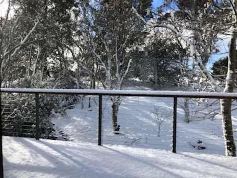Narrow Neck Views - Peaceful 4 Bedroom Home With Stunning Views! Katoomba Luaran gambar