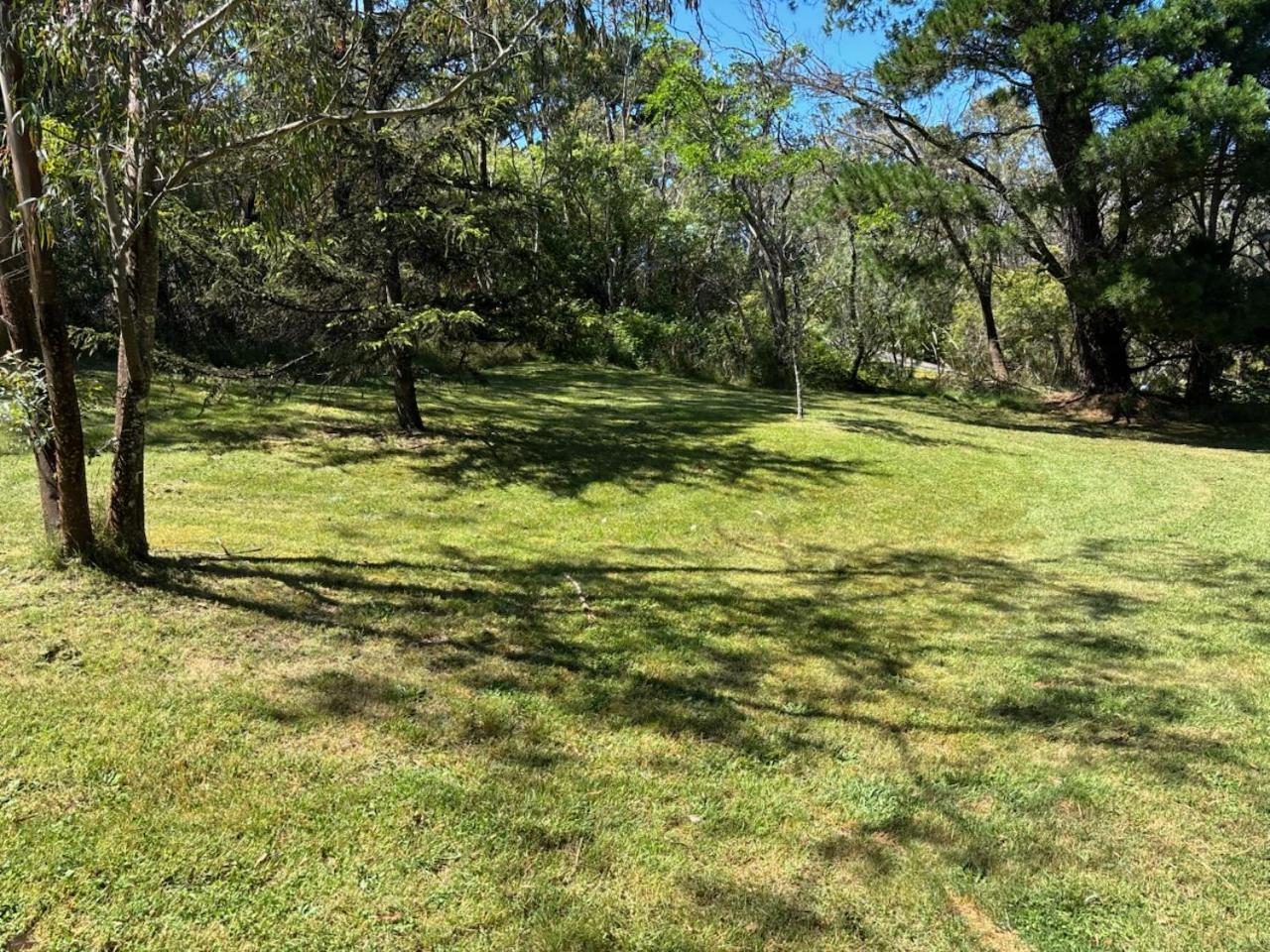 Narrow Neck Views - Peaceful 4 Bedroom Home With Stunning Views! Katoomba Luaran gambar